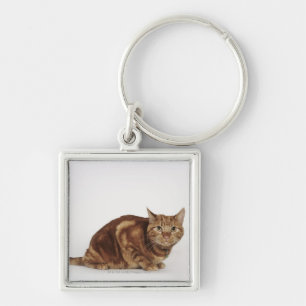 Orange tabby katt fyrkantig silverfärgad nyckelring