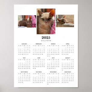 Orange Tabby katt Ginger 2025-kalender Poster