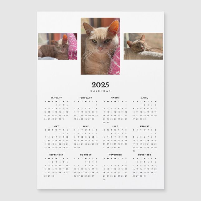 Orange Tabby katt Ginger 2025 Magnetic Calendar (Framsida)