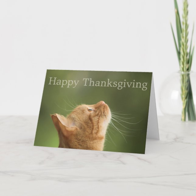 Orange Tabby katt: Happy thanksgiving-kort Helgkort (Framsida)