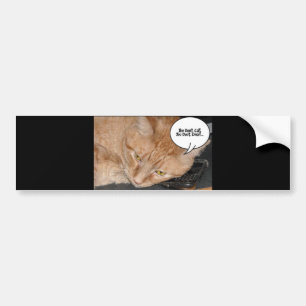 Orange Tabby katt Humor/Cell Mobil Bildekal