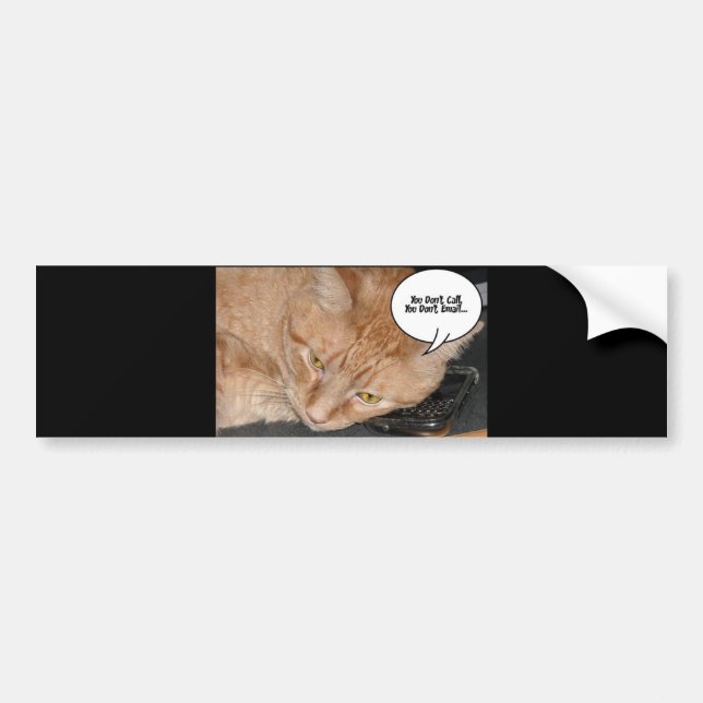 Orange Tabby katt Humor/Cell Mobil Bildekal (Framsidan)