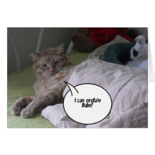 Orange Tabby katt Humor Hälsningskort