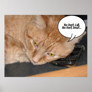 Orange Tabby katt Humor Poster