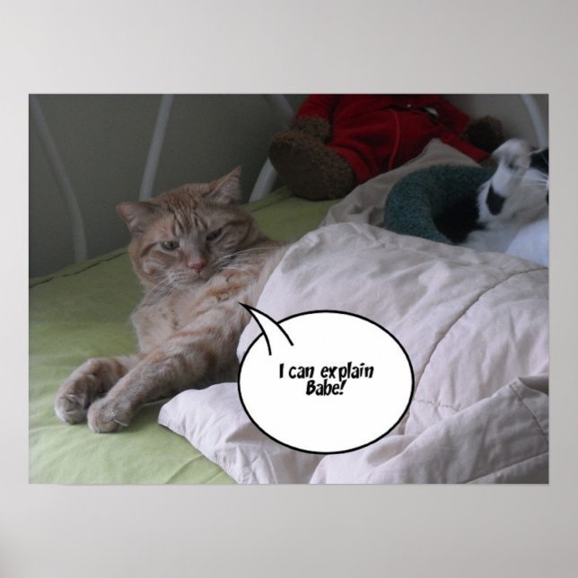 Orange Tabby katt Humor Poster (Framsidan)