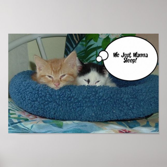 Orange Tabby katt Humor Poster (Framsidan)