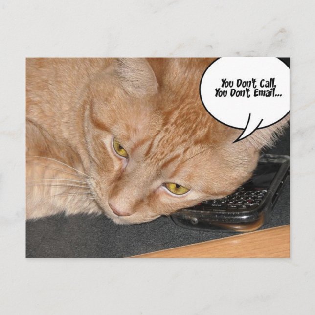 Orange Tabby katt Humor Vykort (Framsida)