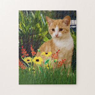 Orange Tabby Katt i Blomsterträdgård Djurälskare Pussel