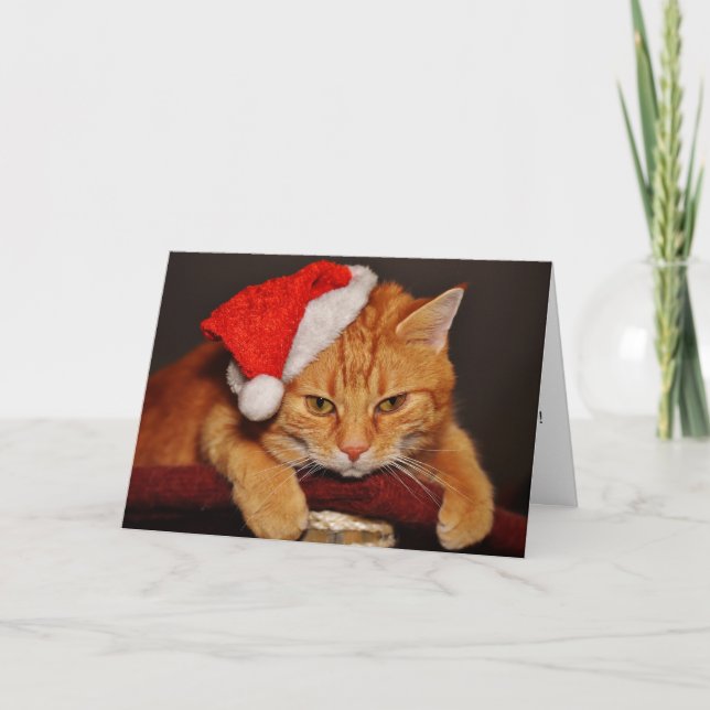 Orange Tabby katt i Santa Hat Helgkort (Framsida)