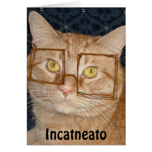 Orange Tabby Katt/Incognito Hälsningskort