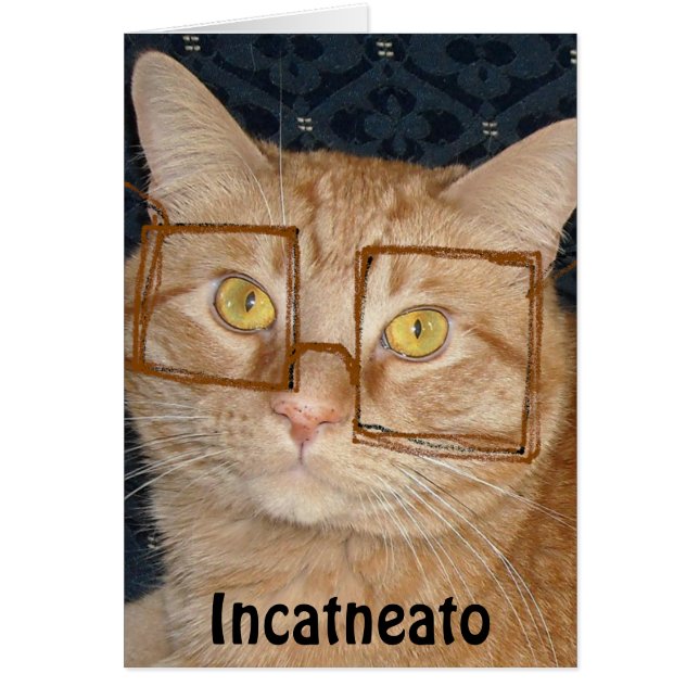 Orange Tabby Katt/Incognito Hälsningskort (Framsidan)