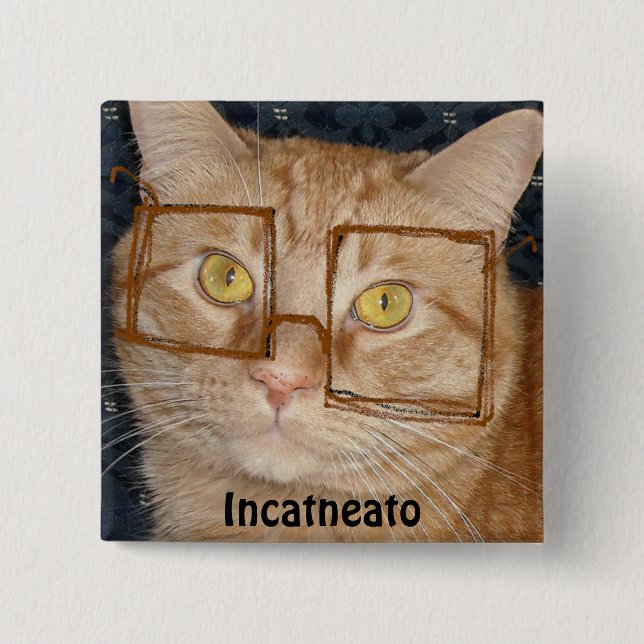 Orange Tabby katt/Inkognito Humor Knapp (Framsida)