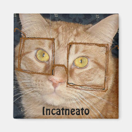 Orange Tabby katt/Inkognito Humor Magnet