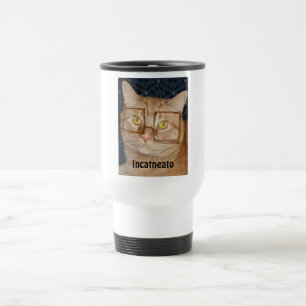 Orange Tabby katt/inkognito Resemugg