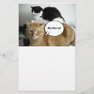 Orange Tabby katt jag är ledsen Brevpapper