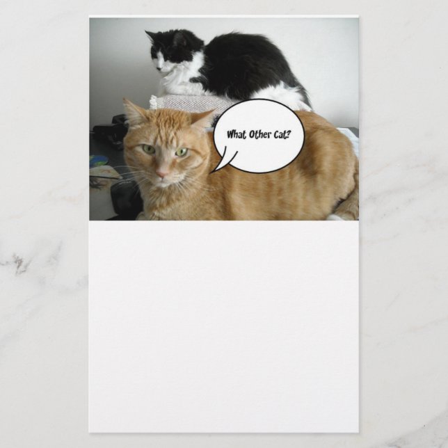 Orange Tabby katt jag är ledsen Brevpapper (Framsida)