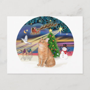 Orange Tabby katt - Julmagasin Helg Vykort