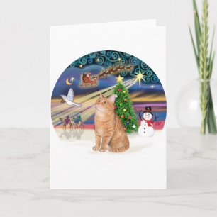 Orange Tabby katt - Julmagasin Helgkort