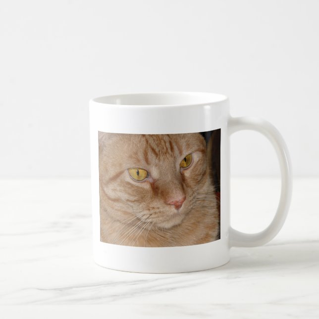 Orange Tabby katt Kaffemugg (Höger)