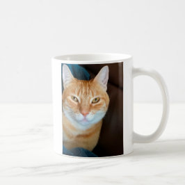 Orange tabby katt kaffemugg