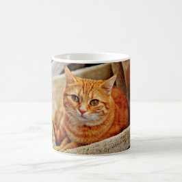 Orange tabby katt kaffemugg