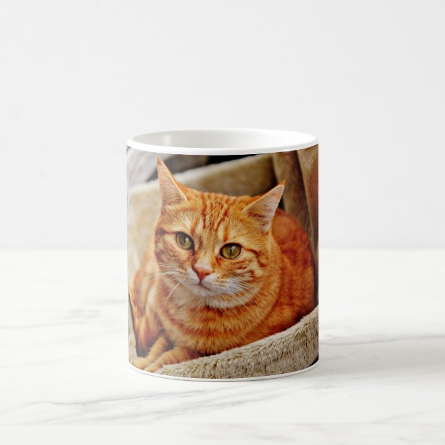 Orange tabby katt kaffemugg (Center)