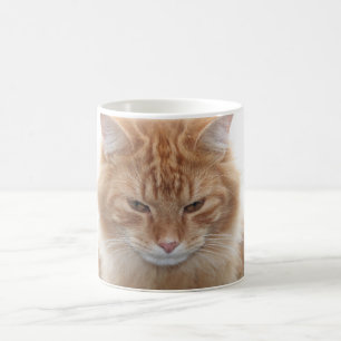 Orange tabby katt kaffemugg