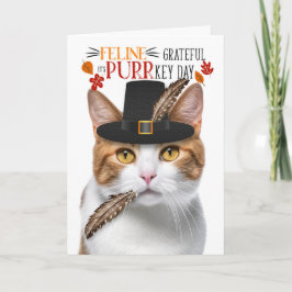 Orange Tabby katt Kattdjur tacksamt för PURR-nycke Helgkort