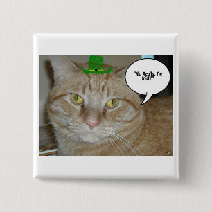 Orange Tabby katt Knapp