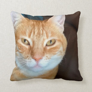 Orange tabby katt kudde