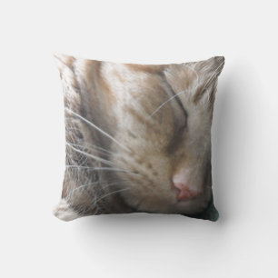 Orange Tabby katt Kudde