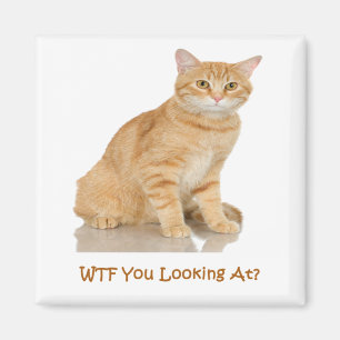 Orange tabby katt magnet