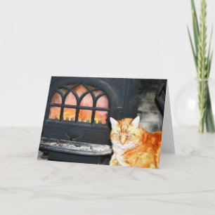 Orange Tabby katt med brandanteckningskort Kort