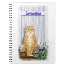 Orange Tabby katt med Lavender