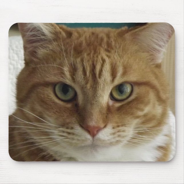 Orange tabby katt Mousepad Musmatta (Framsidan)