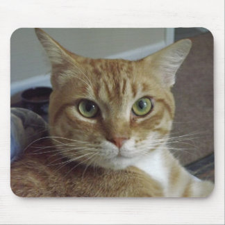 Orange tabby katt Mousepad Musmatta