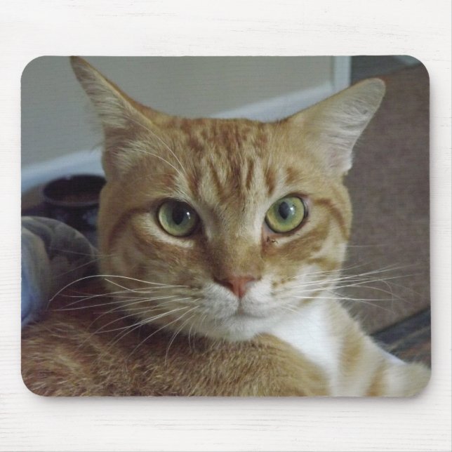 Orange tabby katt Mousepad Musmatta (Framsidan)