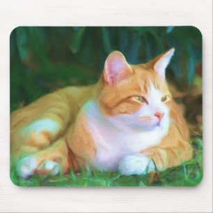 Orange tabby katt musmatta