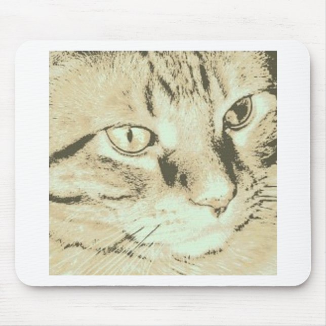 Orange Tabby katt Musmatta (Framsidan)