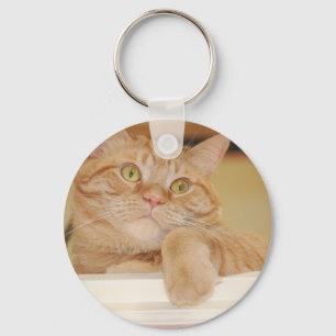 Orange Tabby katt Nyckelring