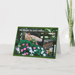 Orange Tabby katt om Garden Bench Sympathy Kort