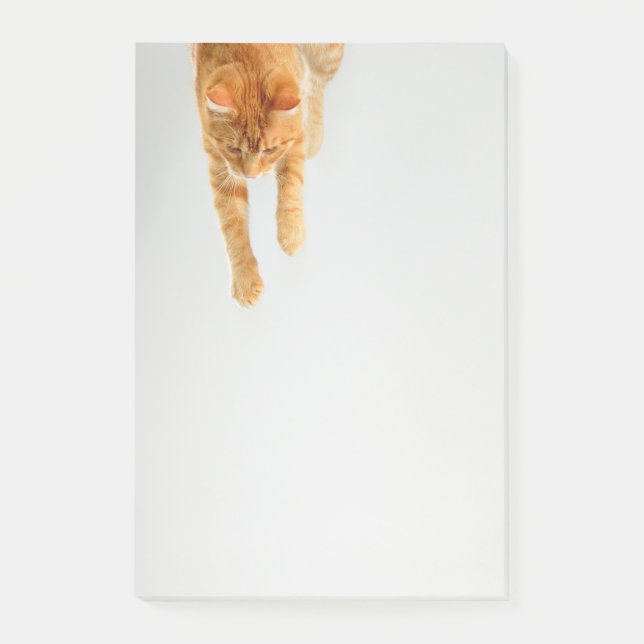 Orange Tabby katt Post-it® Notes 4 x 6 Post-it Block (Framsida)