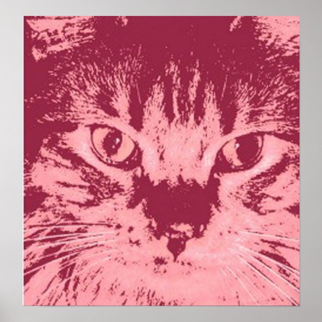 Orange Tabby katt Poster (Framsidan)