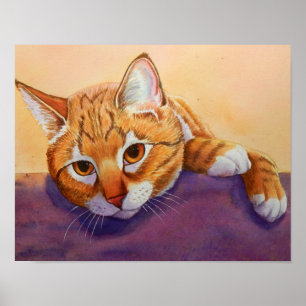 Orange Tabby katt Poster