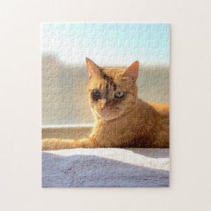 Orange Tabby katt Pussel