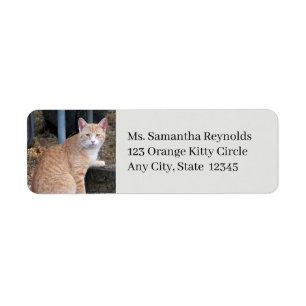 Orange Tabby katt Returetiketter Returadress Etikett