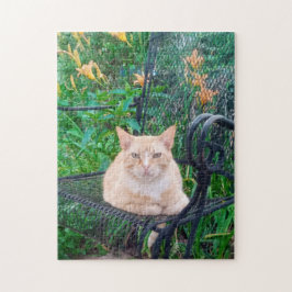 Orange Tabby Katt Sitter i Stol Foto Pussel