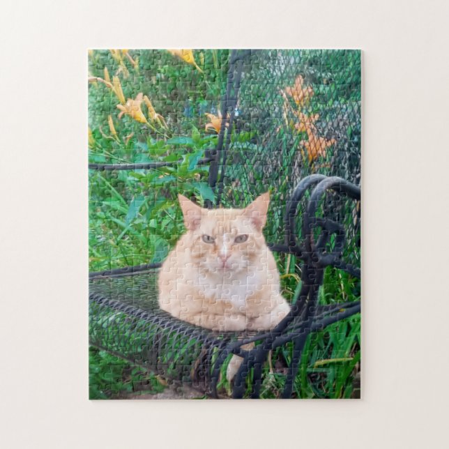Orange Tabby Katt Sitter i Stol Foto  Pussel (Vertikal)