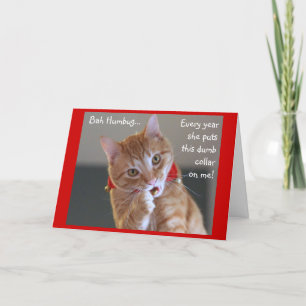 Orange tabby katt som ha på sig klirr Klockor Helgkort