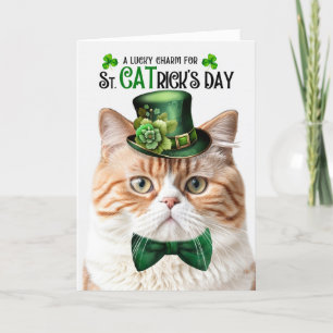 Orange Tabby katt St CATricks dag Lucky Charm Helgkort